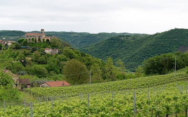 A village and vineyards on the green Berici hills south of Vicenza